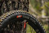 IRC TANKEN 29" X 2.3"