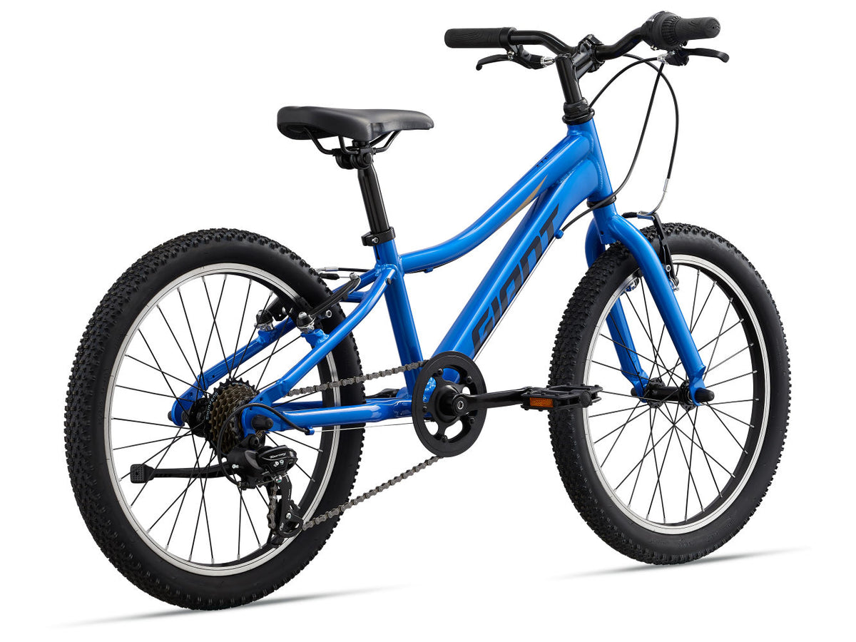 Giant bike 2025 xtc jr