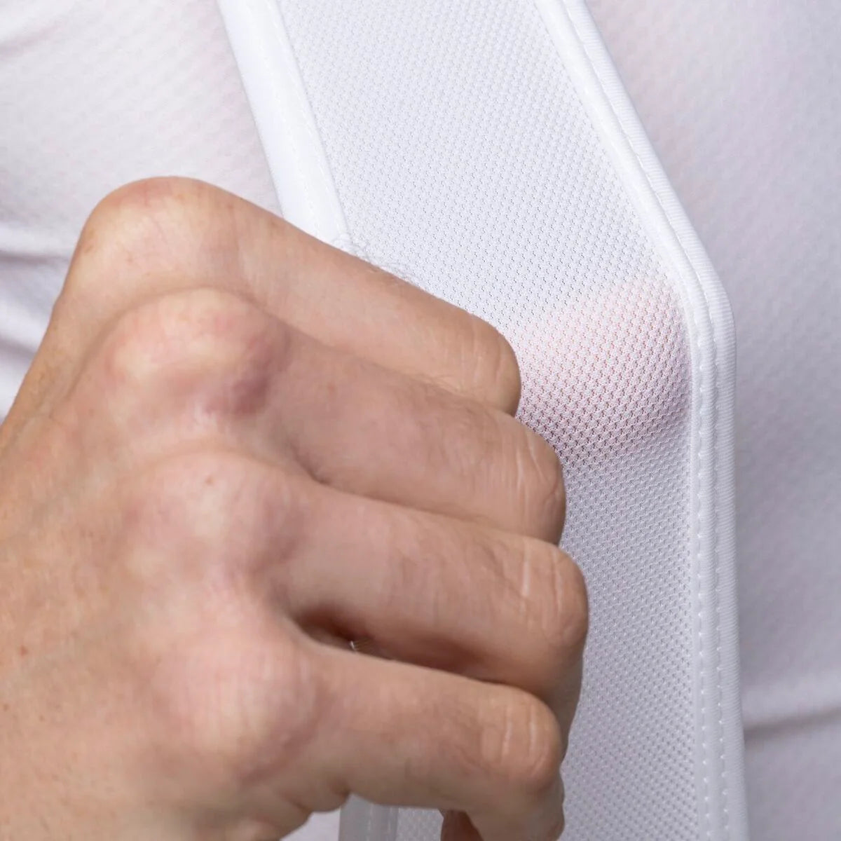 Bellwether axiom sales